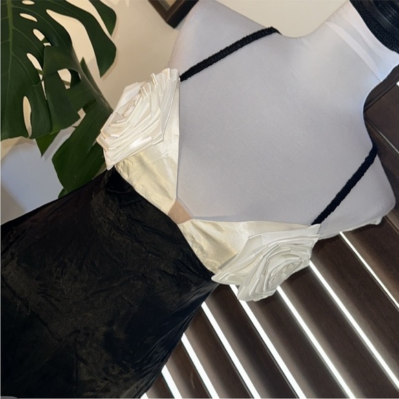 For love & Lemons🖤🤍 Midi Dress w/ roses• NWT • MEDIUM - Picture 7 of 12